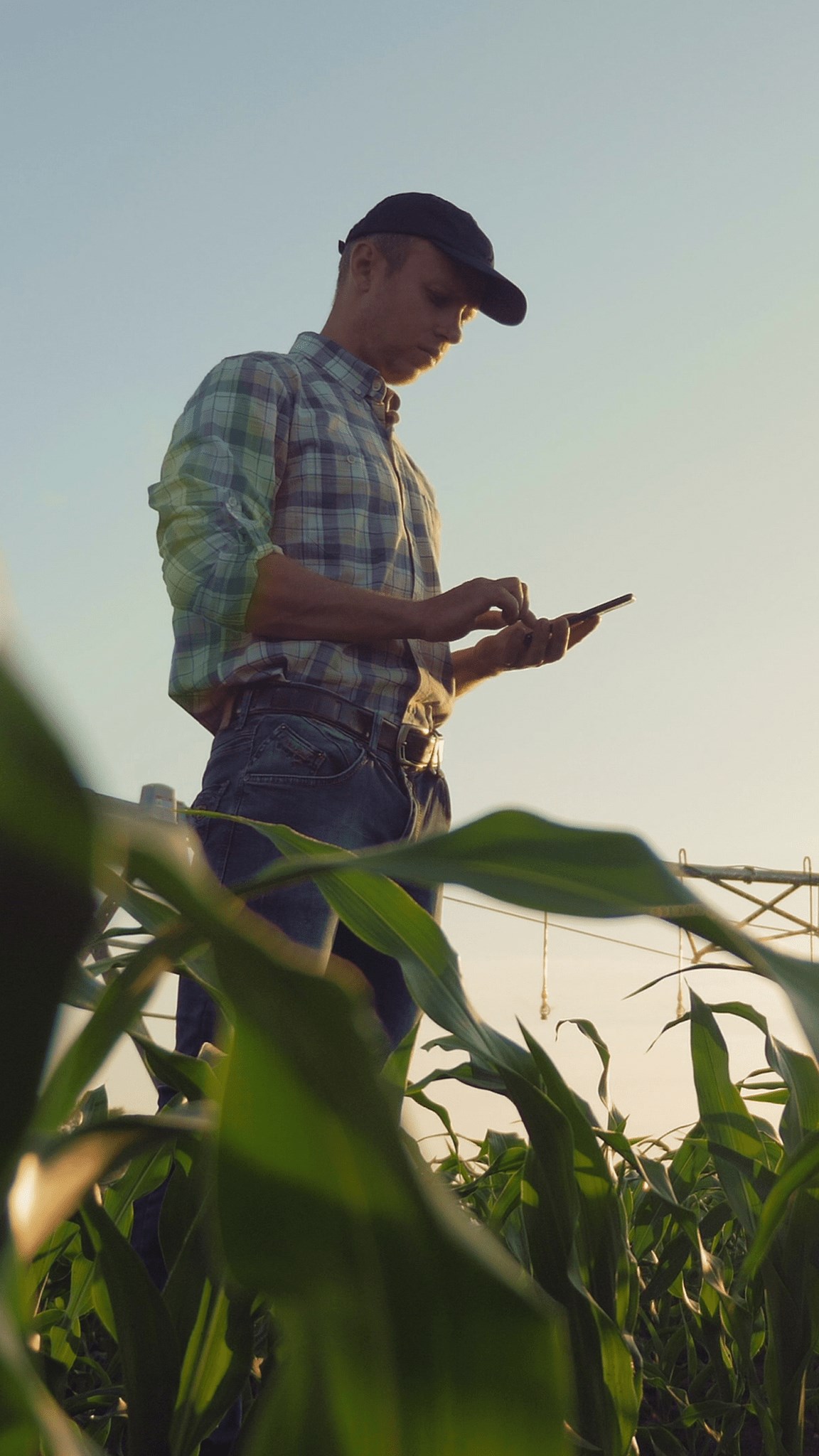 Digitising the agricultural industry 
with FarmFacts and NEXT Farming