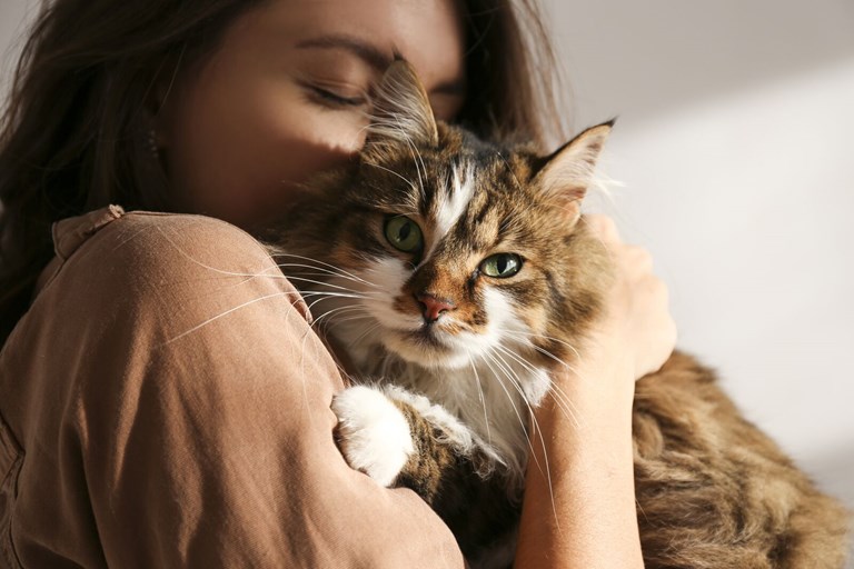 Zoetis image of a woman holding a green eyed cat