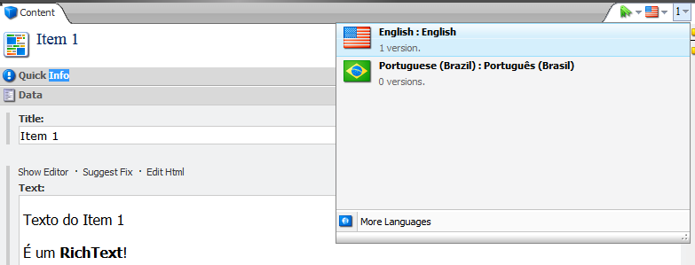 5Sitecore for developers- Languages.png