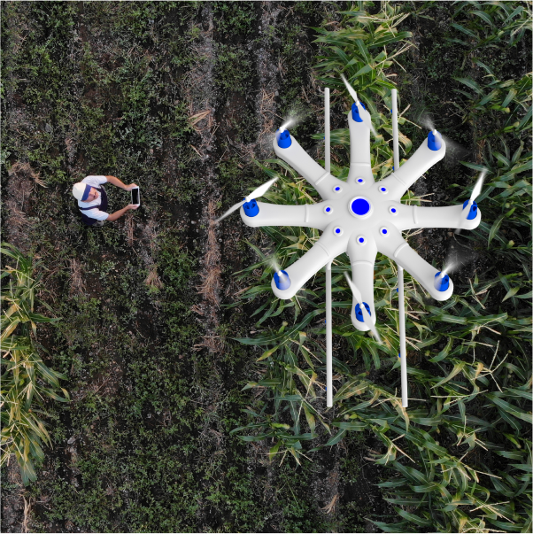Overhead view of a white multi-rotor agricultural drone hovering over crop rows; farmer with a tablet stands below. 