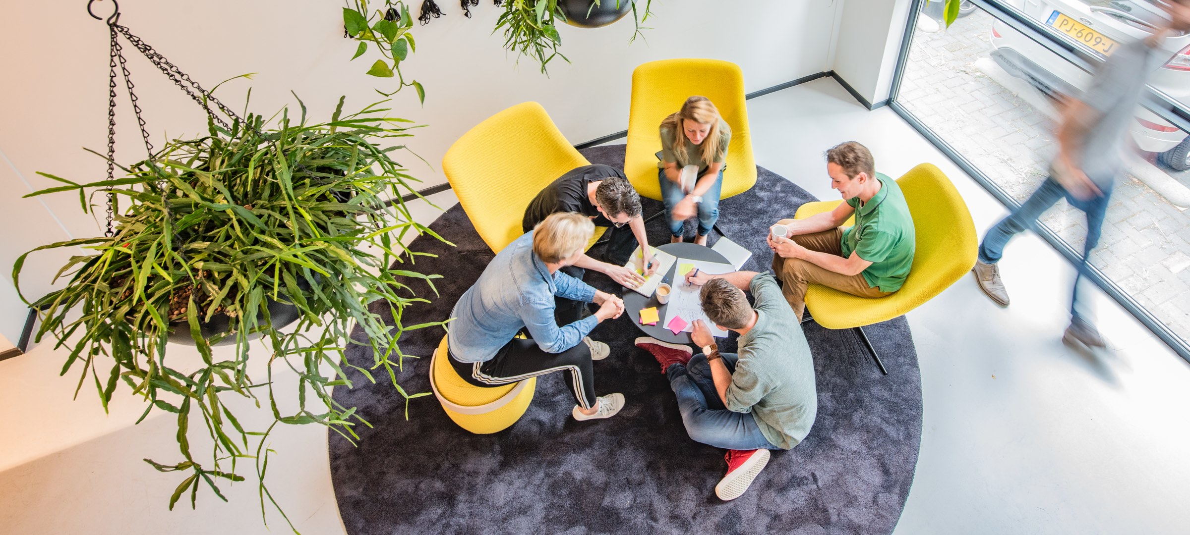 Diversity visualization image