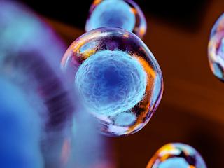 Microscopic view of glowing blue cells under magnification, with vibrant orange and blue highlights.