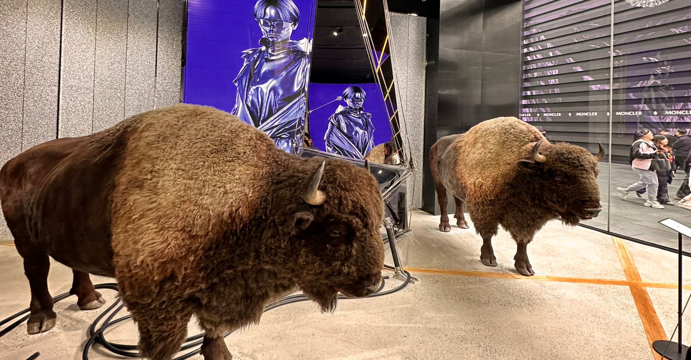 Two bison statues in an Asian store's client experience