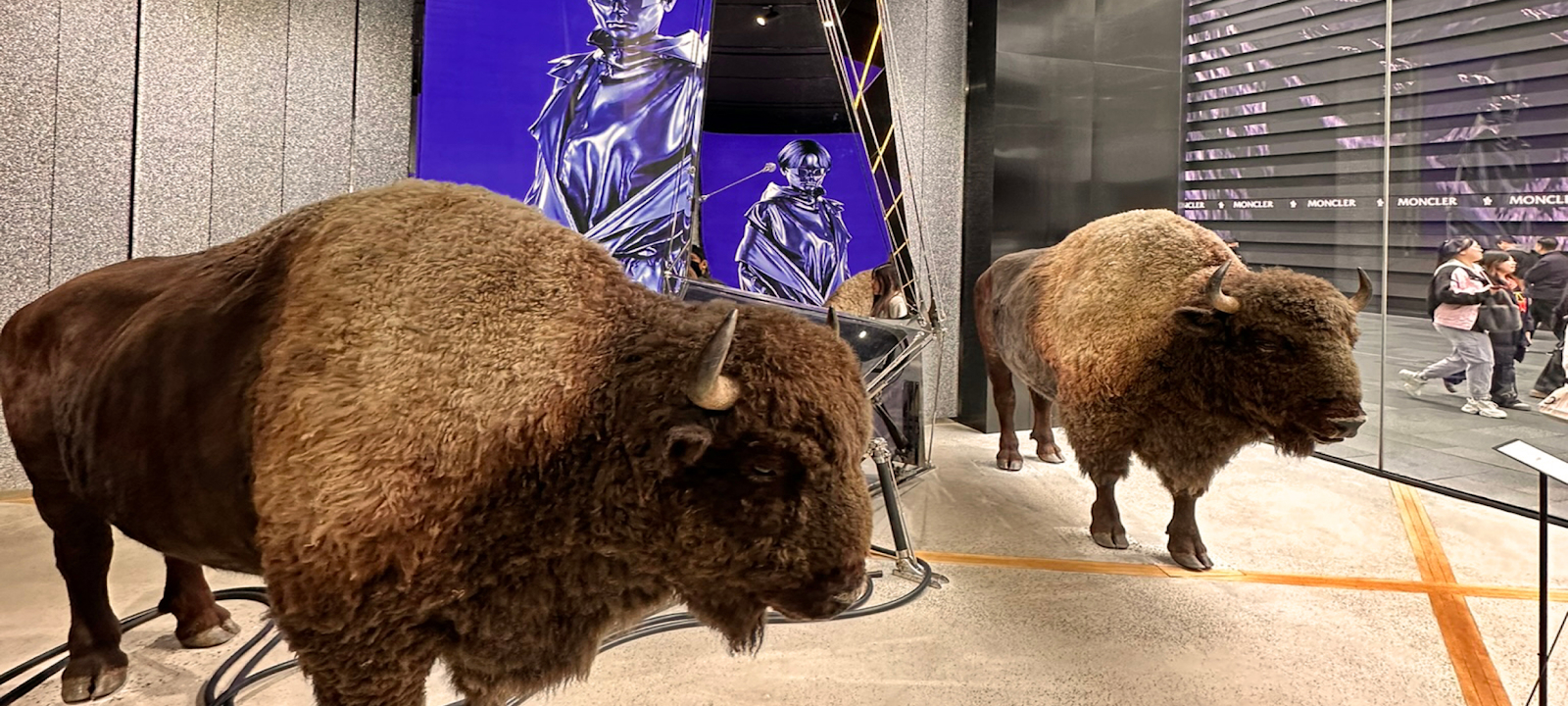 Two bison statues in an Asian store's client experience