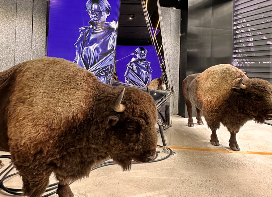 Two bison statues in an Asian store's client experience