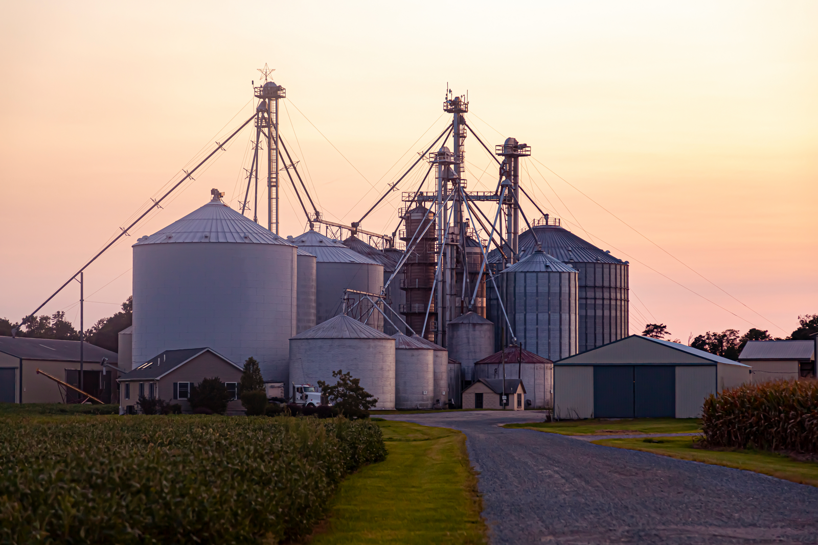 A large industrial farm with several metal grain silos and granary elevators, surrounded by fields and buildings, set against a soft sunset sky.