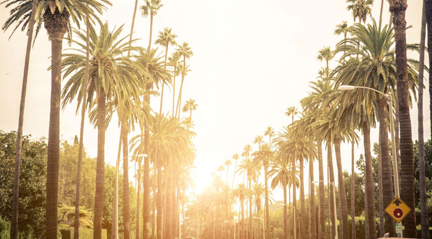 Bolon Eyewear visualization image