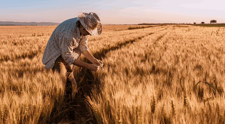 FarmFacts