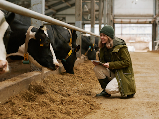 In a barn, a farmer kneels before cows, holding a tablet. She smiles at a cow.