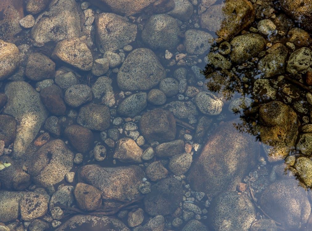 Solving the Global Water Crisis through Business Transformation