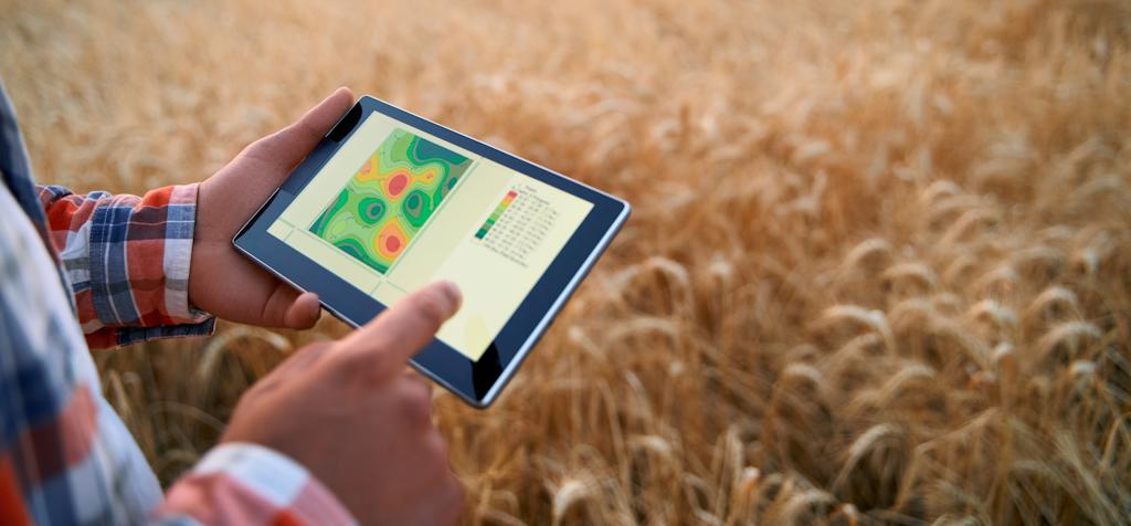farmer using a tablet to analyze crop data in field