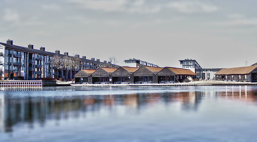 Get to know us. Valtech Denmark visualization image