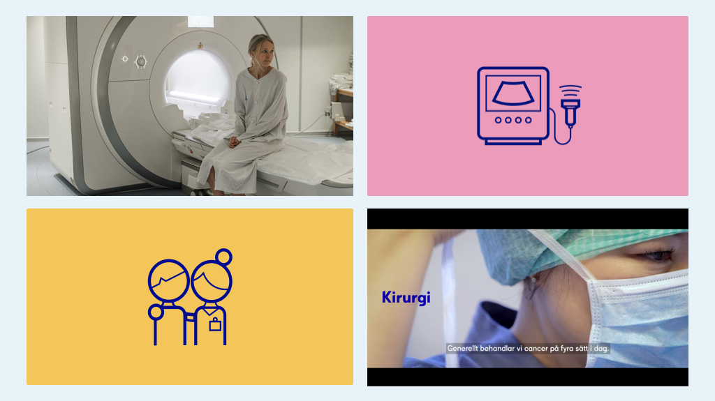 The Swedish Cancer Society visualization image