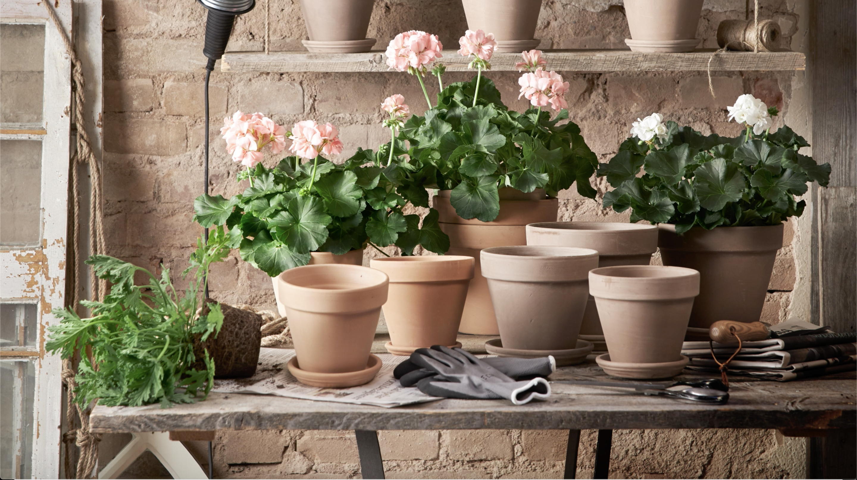 Blomsterlandet visualization image